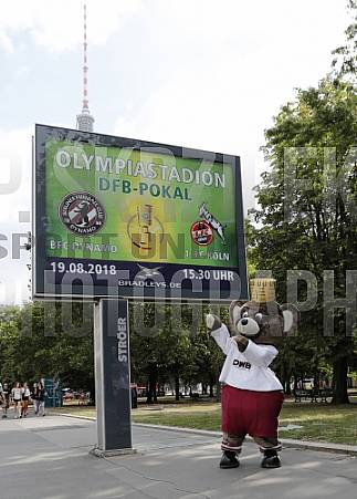 Werbung mit Teddy für die 1.Runde im DFB-Pokal
