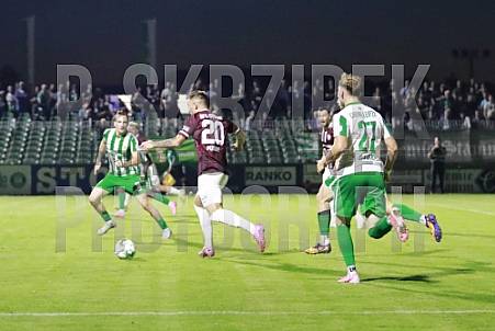 9.Spieltag BSG Chemie Leipzig - BFC Dynamo