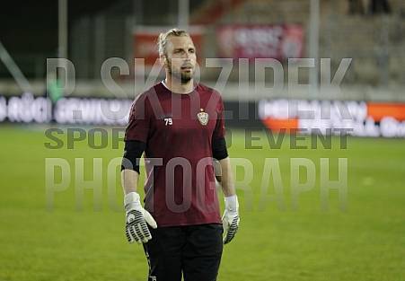 17.Spieltag FSV Zwickau - BFC Dynamo