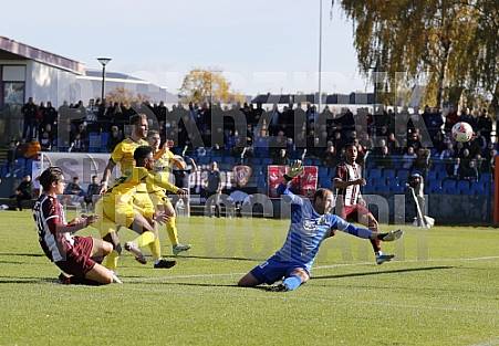 15.Spieltag BFC Dynamo - VfB Auerbach,