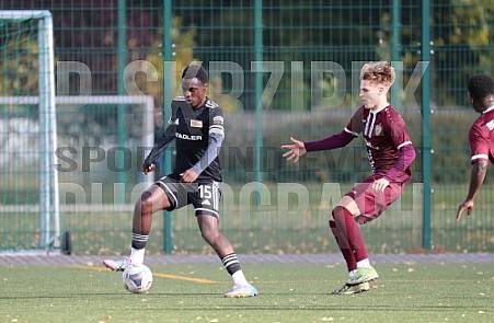 8.Spieltag BFC Dynamo U17 - 1.FC Union U16