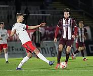 24.Spieltag BFC Dynamo - ZFC Meuselwitz,