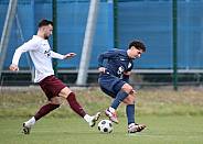 Testspiel BFC Dynamo - SV Babelsberg 03,