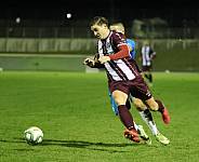 25.Spieltag SV Tasmania - BFC Dynamo,