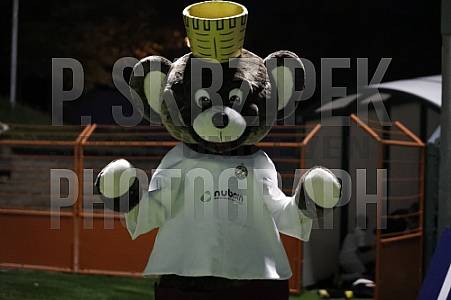 11.Spieltag BFC Dynamo - VfB Germania Halberstadt