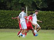 Testspiel FC Hertha 03 Zehlendorf - BFC Dynamo