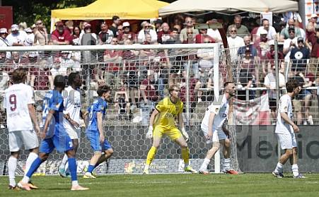 Pokalfinale VSG Altglienicke - BFC Dynamo,