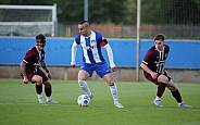 33.Spieltag Hertha BSC II - BFC Dynamo