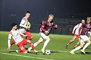 18.Spieltag BFC Dynamo - Hallescher FC
