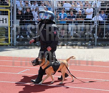 Relegation Rückspiel VfB Oldenburg - BFC Dynamo,