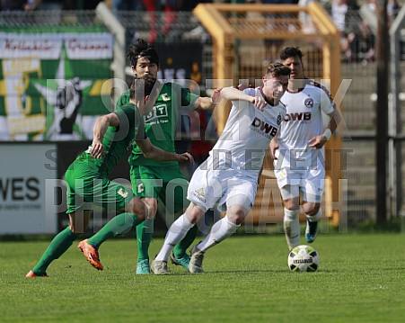 29.Spieltag BSG Chemie Leipzig - BFC Dynamo