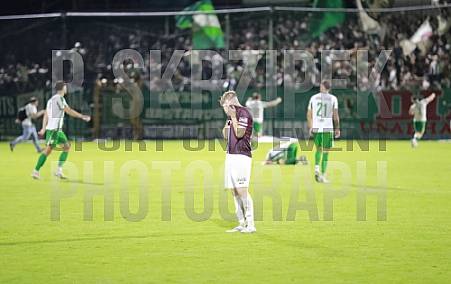 9.Spieltag BSG Chemie Leipzig - BFC Dynamo 9.Spieltag BSG Chemie Leipzig - BFC Dynamo