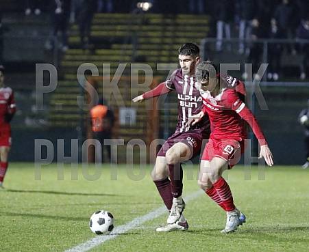 24.Spieltag BFC Dynamo - Greifswalder FC