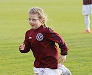 28.Spieltag BFC Dynamo - ZFC Meuselwitz ,