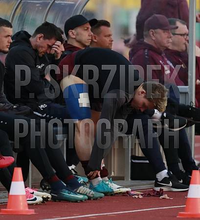 22.Spieltag BFC Dynamo - FC Oberlausitz Neugersdorf