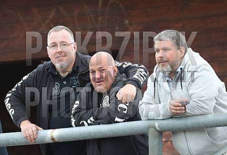 6.Spieltag BFC Dynamo - SV Tasmania Berlin,