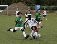 Leistungsvergleich U11