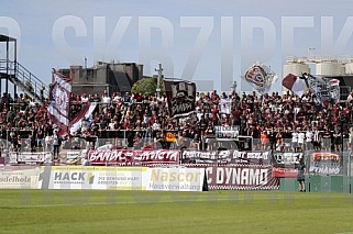 6.Spieltag BFC Dynamo -  F.C. Hertha 03 Zehlendorf