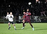 18.Spieltag BFC Dynamo - ZFC Meuselwitz,