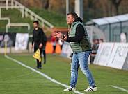 35.Spieltag BFC Dynamo - Tennis Borussia Berlin,