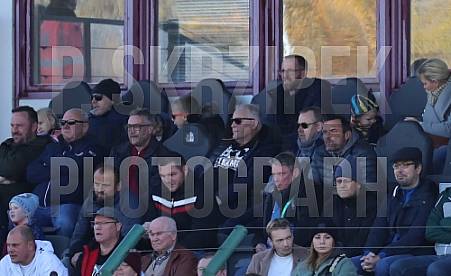 15.Spieltag BFC Dynamo - VfB Auerbach,