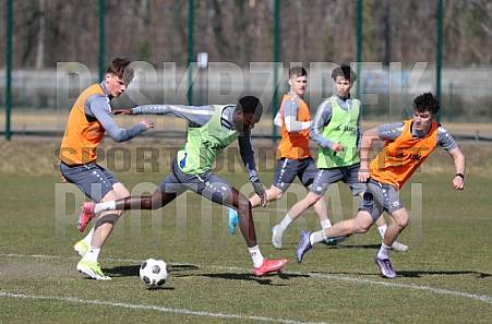 Training vom 21.03.2025 BFC Dynamo Training vom 21.03.2025 BFC Dynamo