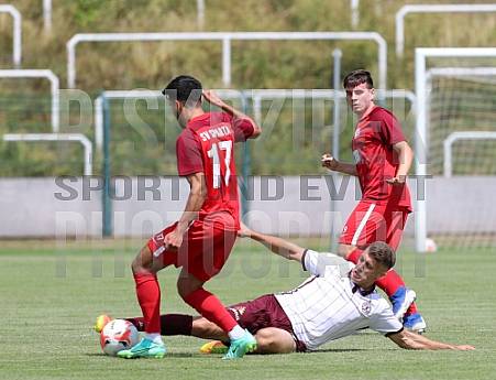Testspiel BFC Dynamo - SV Sparta Lichtenberg