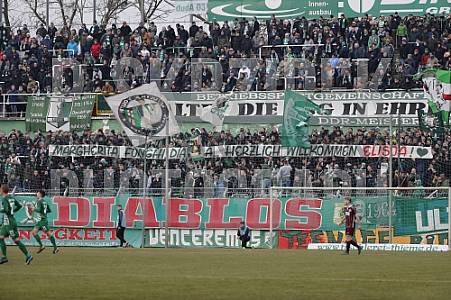 17.Spieltag BSG Chemie Leipzig - BFC Dynamo