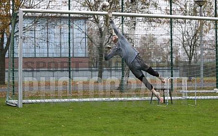 17.11.2022 Training BFC Dynamo