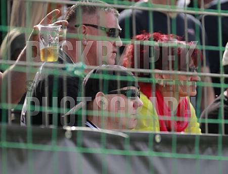 29.Spieltag BSG Chemie Leipzig - BFC Dynamo