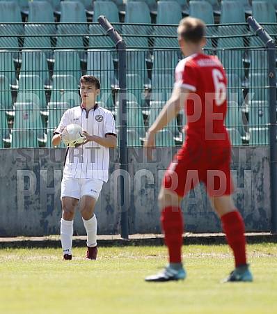 24.Spieltag BFC Dynamo U19 - Hallescher FC U19, 24.Spieltag BFC Dynamo U19 - Hallescher FC U19,