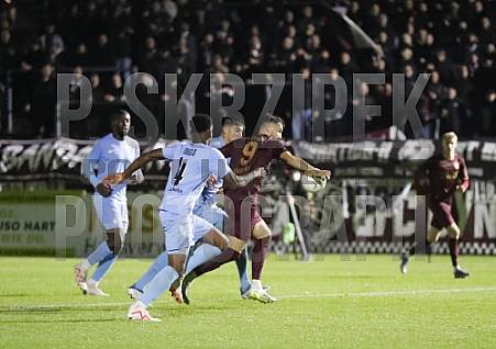 12.Spieltag BFC Dynamo - FC Viktoria 1889 Berlin