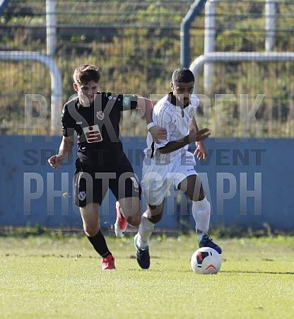 8.Spieltag BFC Dynamo U19 - FC Energie Cottbus U19 ,