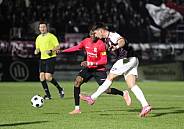 27. Spieltag BFC Dynamo - VSG Altglienicke