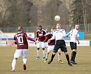 25.Spieltag FSV Budissa Bautzen - BFC Dynamo