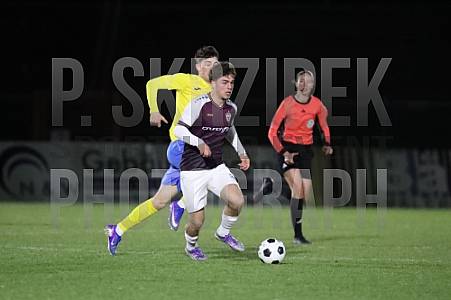 16.Spieltag BFC Dynamo - FSV 63 Luckenwalde