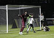 18.Spieltag BFC Dynamo - ZFC Meuselwitz,