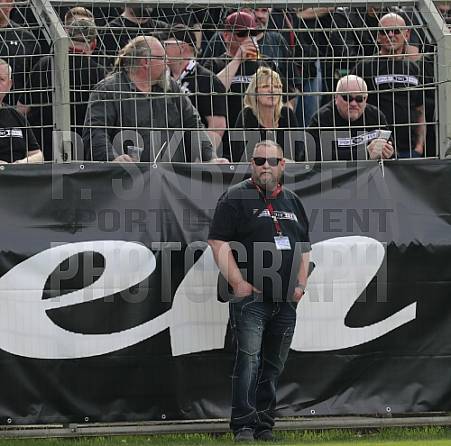 29.Spieltag BSG Chemie Leipzig - BFC Dynamo