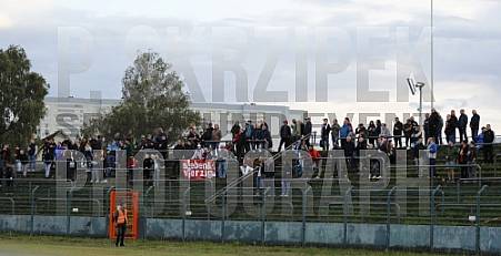8.Spieltag BFC Dynamo - SV Lichtenberg 47,