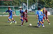2.Spieltag BFC Dynamo U17 - 1.FC Magdeburg U16