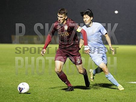 12.Spieltag BFC Dynamo - FC Viktoria 1889 Berlin 12.Spieltag BFC Dynamo - FC Viktoria 1889 Berlin