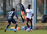 Testspiel BFC Dynamo - SV Babelsberg 03,