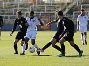 8.Spieltag BFC Dynamo U19 - FC Energie Cottbus U19 ,