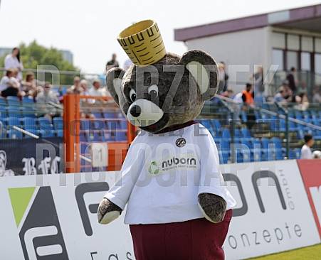 33.Spieltag BFC Dynamo - FSV 63 Luckenalde 33.Spieltag BFC Dynamo - FSV 63 Luckenalde