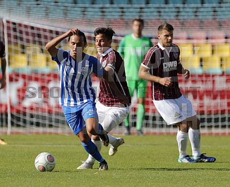10.Spieltag BFC Dynamo - FC Oberlausitz Neugersdorf