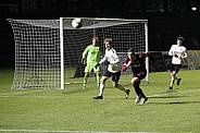 18.Spieltag BFC Dynamo - ZFC Meuselwitz,