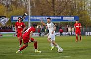 21.Spieltag ZFC Meuselwitz - BFC Dynamo