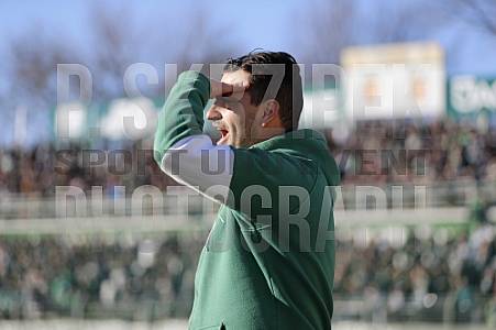 29.Spieltag BSG Chemnie Leipzig - BFC Dynamo,