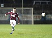 14.Spieltag Hertha BSC II - BFC Dynamo