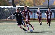 8.Spieltag BFC Dynamo U17 - 1.FC Union U16